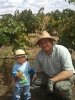 semillon__1_of_1__2.jpg