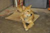 DSC_0117.jpg