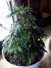 100_0140.JPG