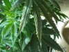 100_0141.JPG