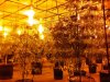 IMG00490-20100901-2214.jpg
