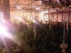 IMG00496-20100901-2221.jpg