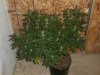 varwwwclientsclient1web2tmpphpOw41nt.jpg