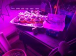 IMG_2815.JPG