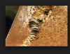 Screen shot 2015-02-13 at 4.29.12 PM.png