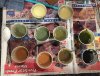 Lichen Dixie Cups resized.jpg