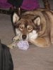IMG_1904.jpg
