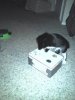 uploadfromtaptalk1447463041006.jpg