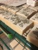 ImageUploadedBySoap Making1480379877.467853.jpg