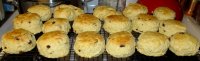 IMG_3045FreshFromOvenScones2015.JPG