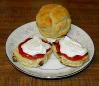 IMG_3046SconesClottedCreamJam2015.JPG