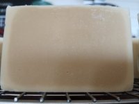 IMG_20200904_164905.jpg