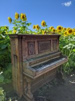 with piano.jpg