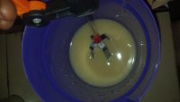 IMG_20201127_010441.jpg