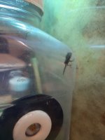 20210122_163516.jpeg