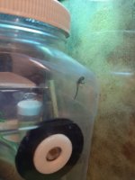 20210122_163425.jpeg