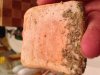 Soap2ndBatchCured3wks.jpg